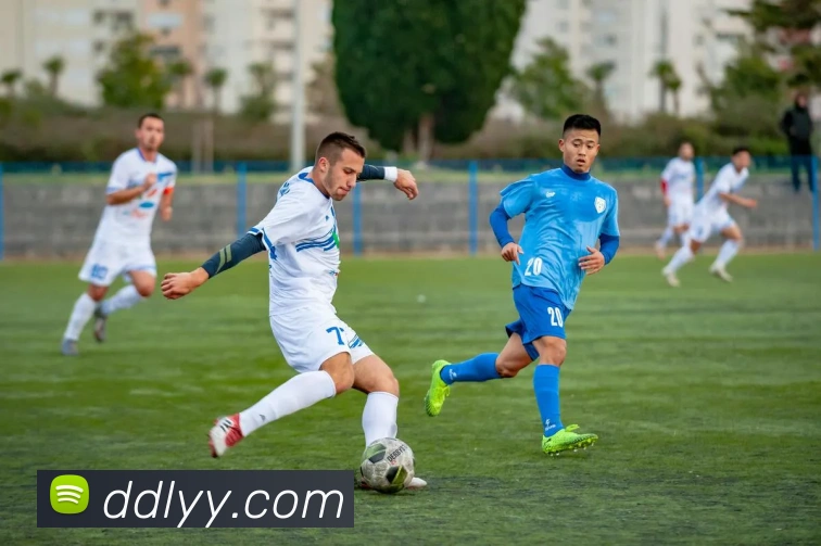 辅助工具 辅助工具