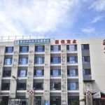 中风后手功能恢复:抓握、伸展与精细动作训练思路