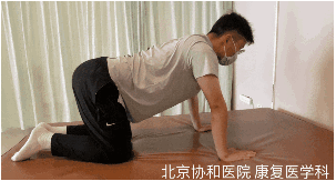 丹东地区中老年康养关注点：慢病管理与功能维护