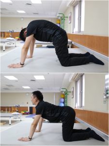 春季养生怎么做更科学：饮食起居和运动循序渐进