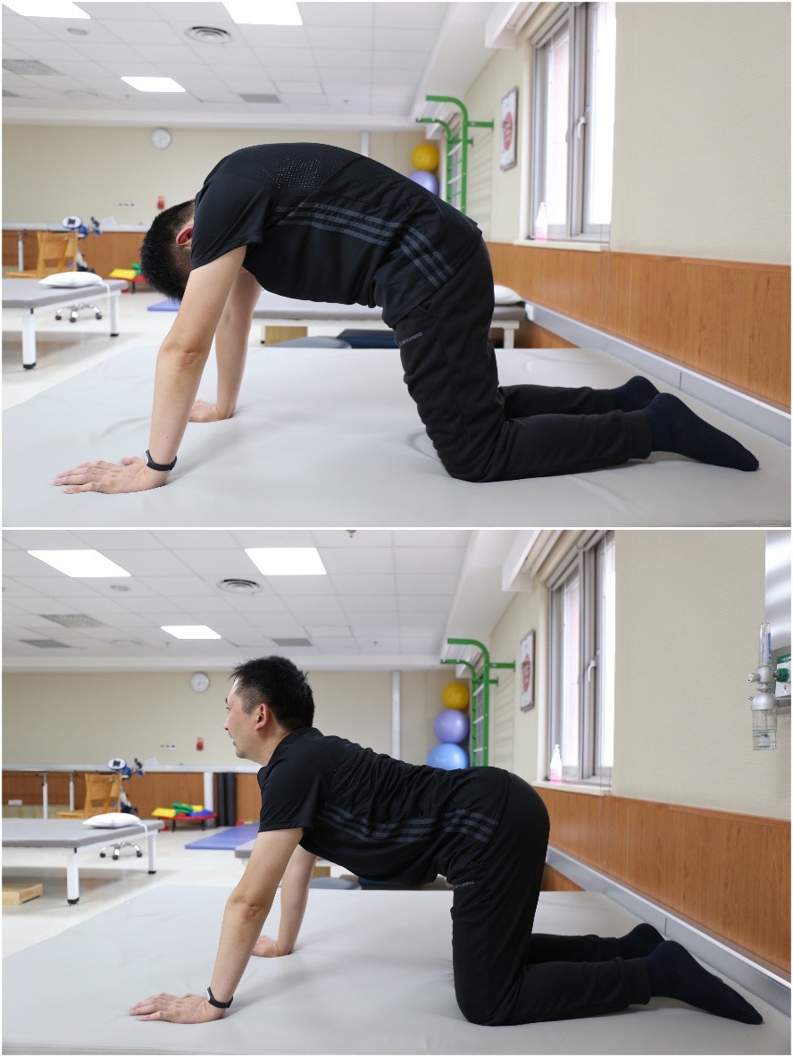 春季养生怎么做更科学：饮食起居和运动循序渐进